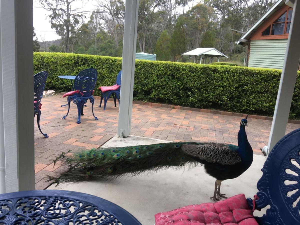 Girraween Country Inn Ballandean Luaran gambar