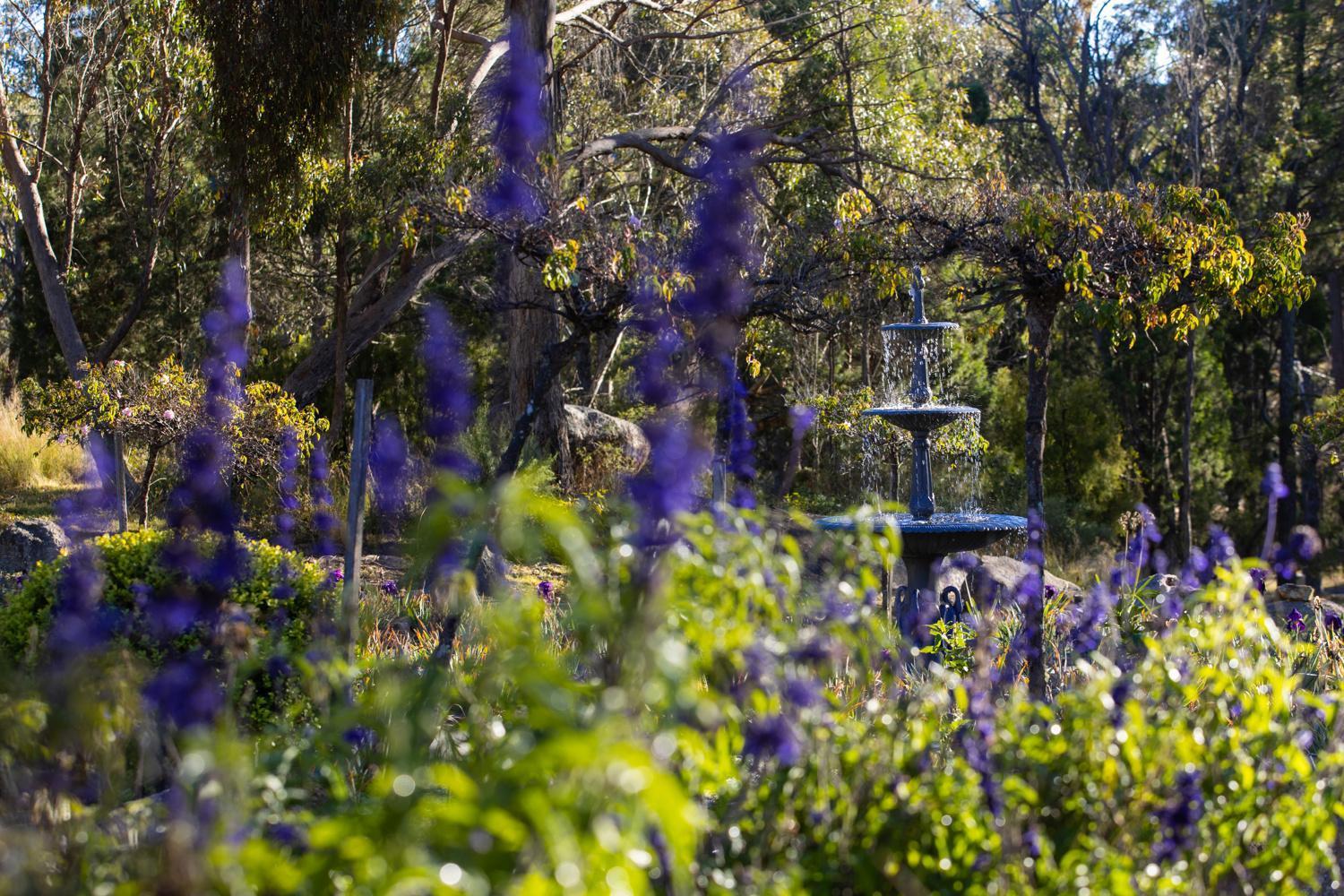 Girraween Country Inn Ballandean Luaran gambar